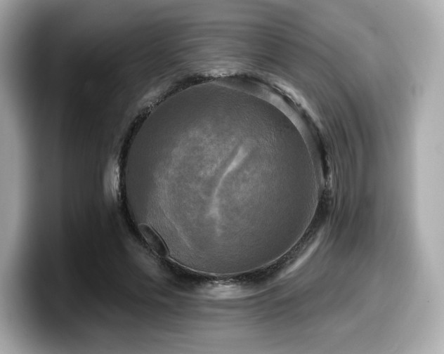 X0000099950589200805231323