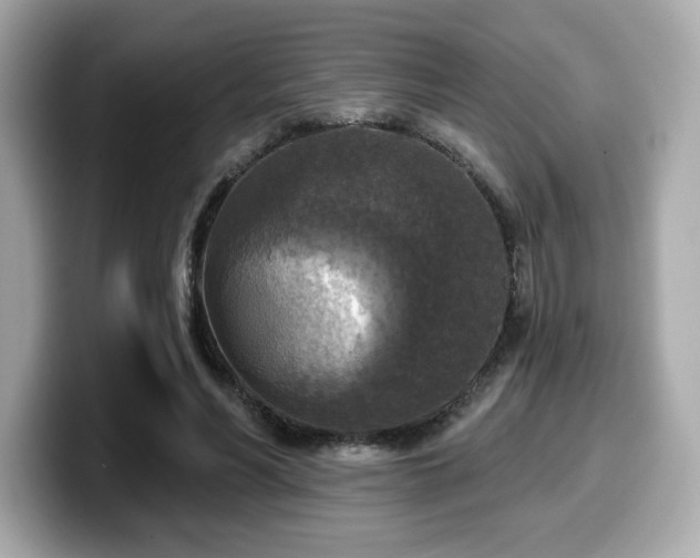 X0000099950590200805231323