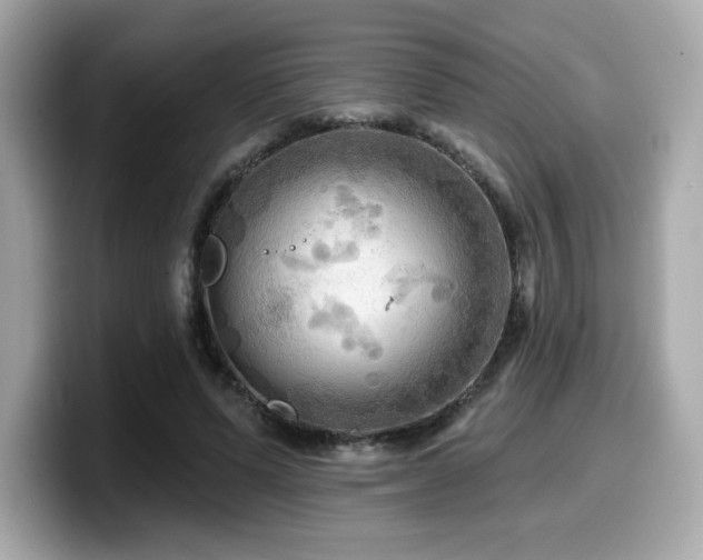 X0000099950591200805231323