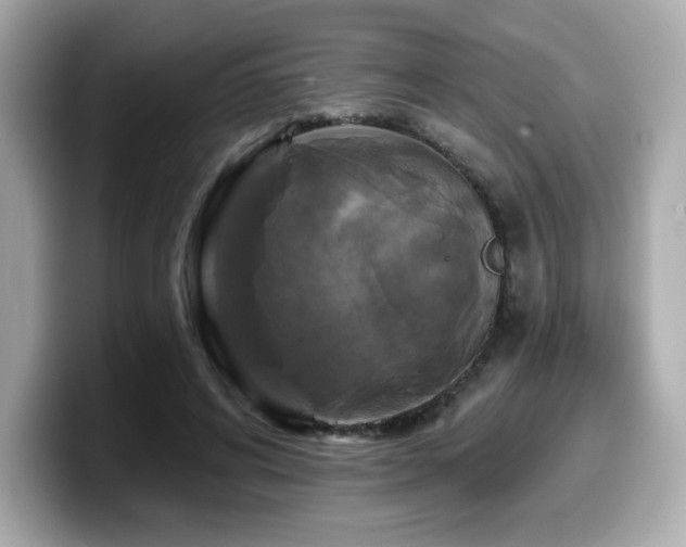 X0000099950592200805231323