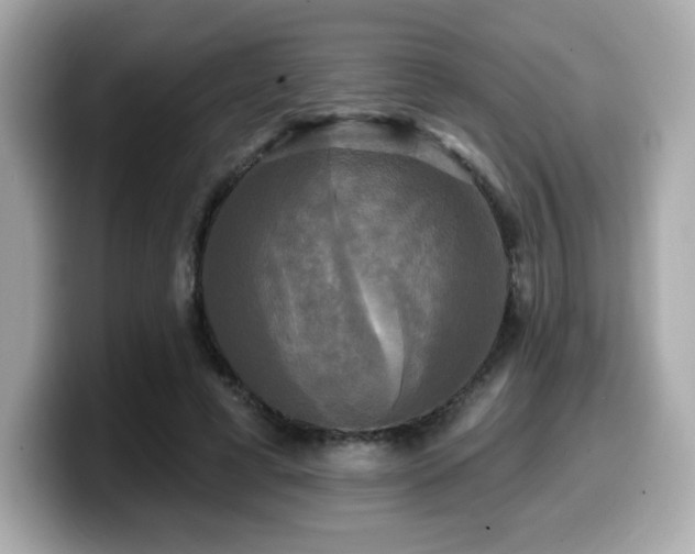 X0000099950593200805231323