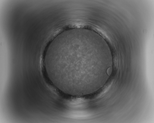 X0000099950594200805231323