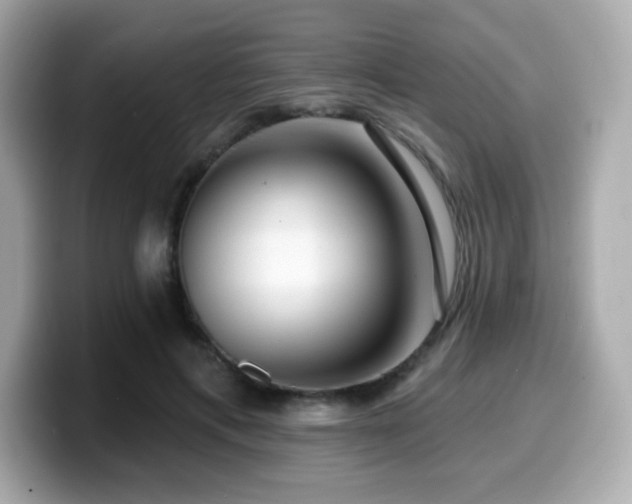 X0000099950597200805231323