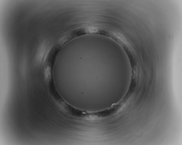 X0000099950598200805231323