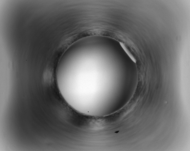 X0000099950599200805231323