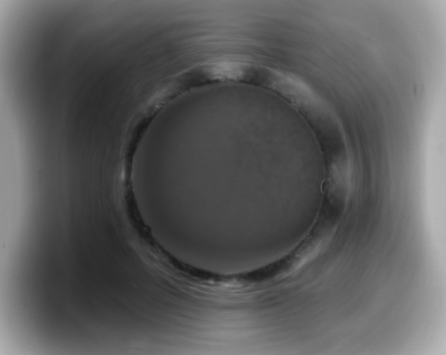 X0000099950600200805231323