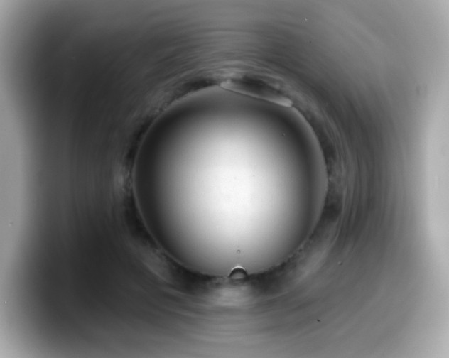 X0000099950601200805231323