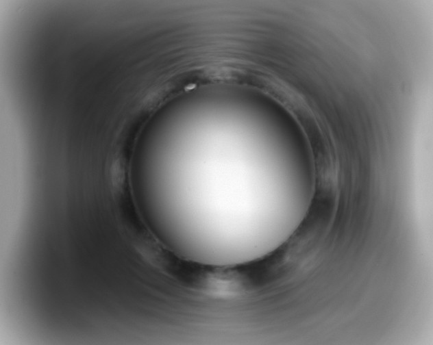 X0000099950603200805231323