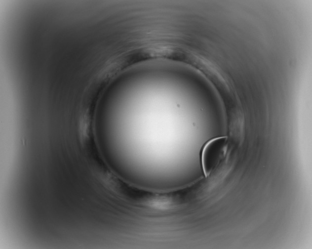 X0000099950604200805231323