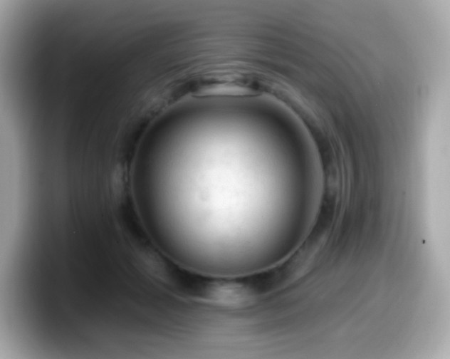 X0000099950605200805231323