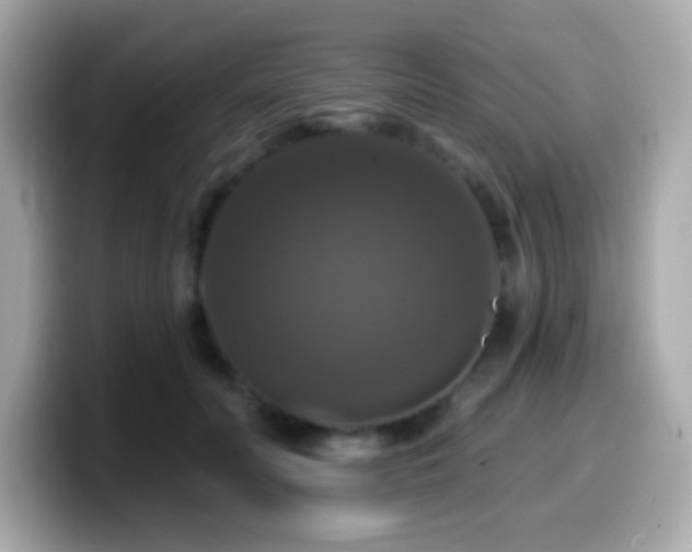 X0000099950606200805231323