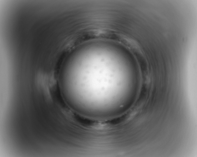 X0000099950607200805231323