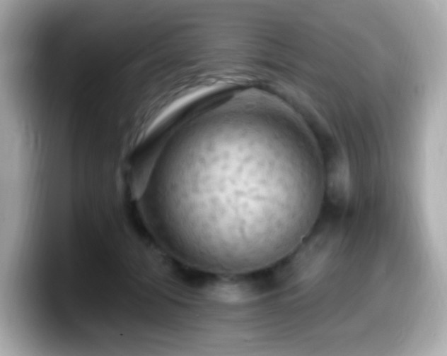 X0000099950608200805231323