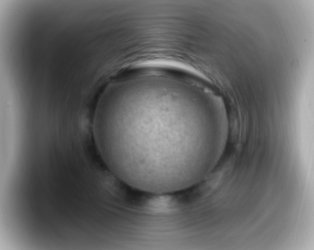 X0000099950609200805231323
