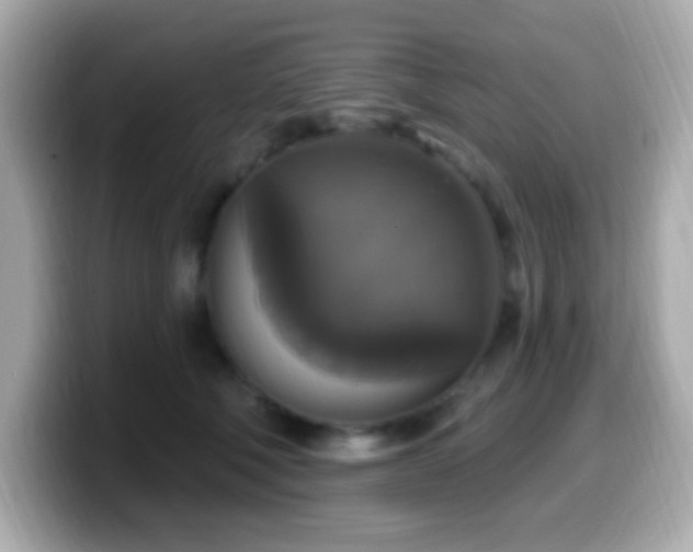 X0000099950610200805231323