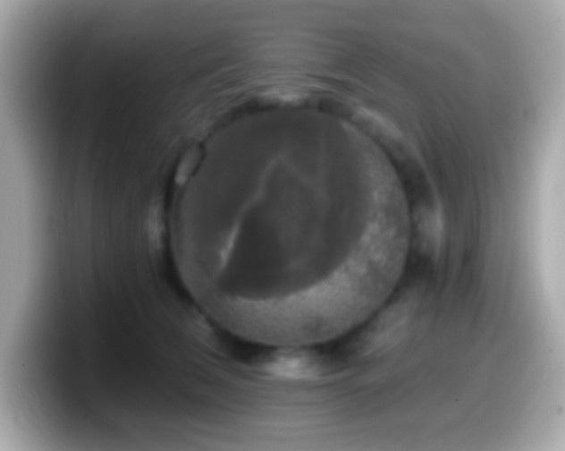 X0000099950612200805231323