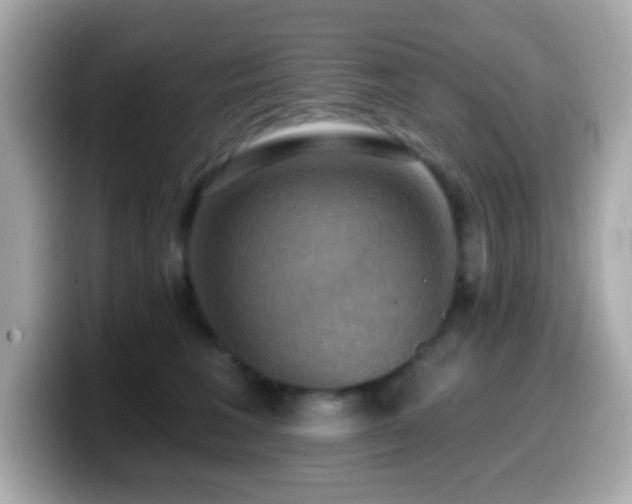 X0000099950613200805231323