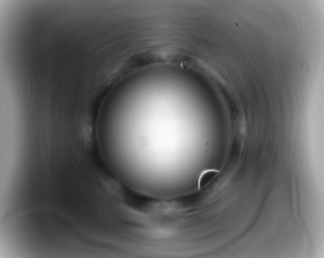 X0000099950615200805231323