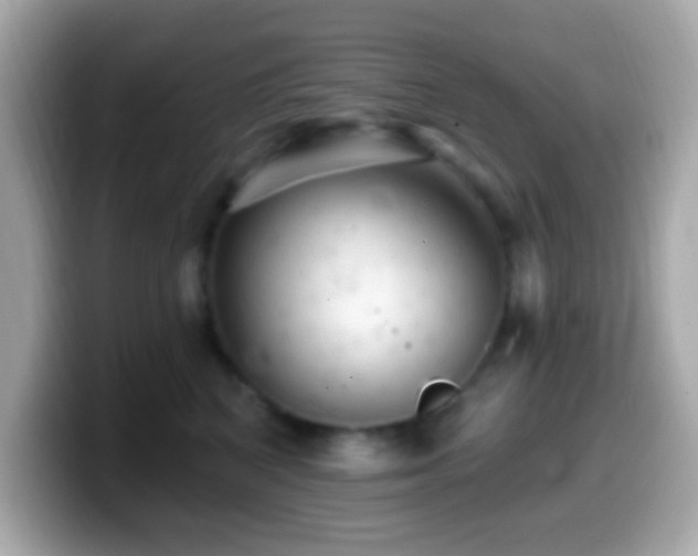 X0000099950616200805231323