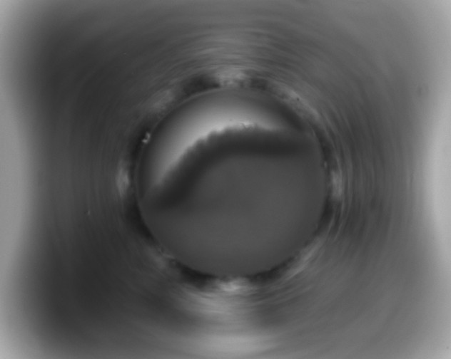 X0000099950618200805231323