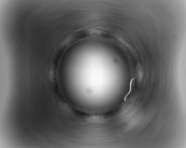 X0000099950619200805231323