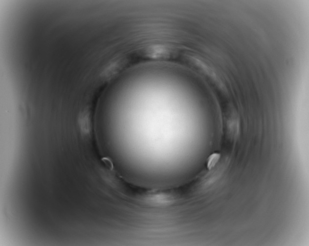 X0000099950620200805231323