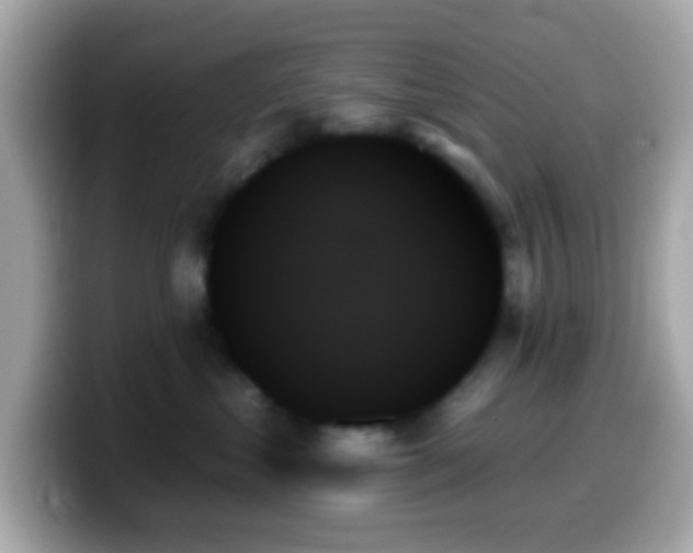 X0000099950621200805231323