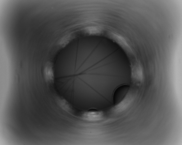 X0000099950622200805231323