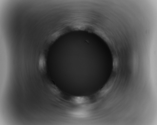 X0000099950623200805231323