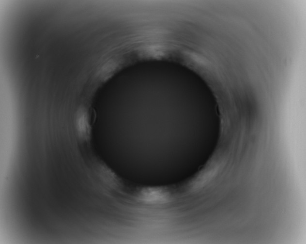 X0000099950624200805231323
