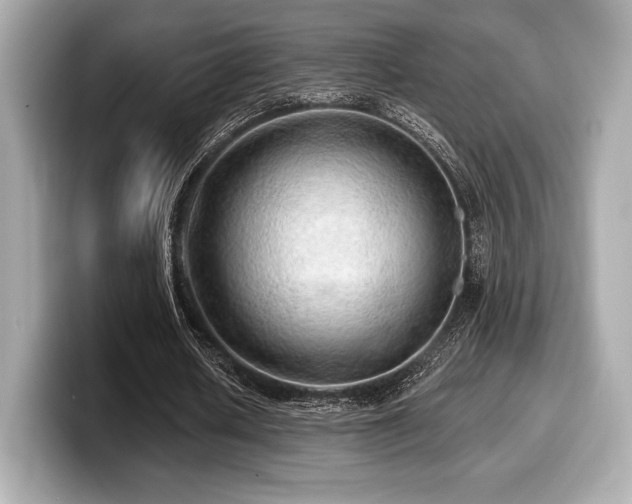 X0000099950626200805231322