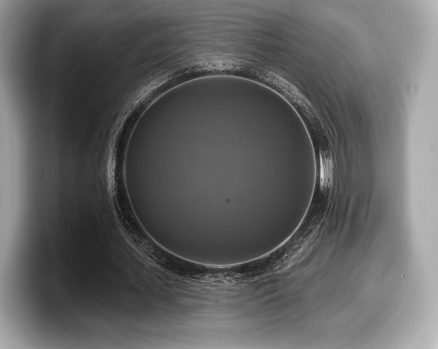 X0000099950627200805231322