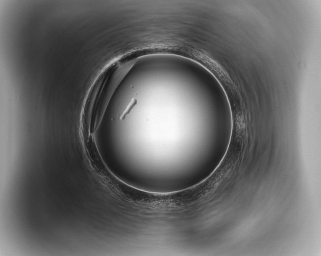X0000099950628200805231322