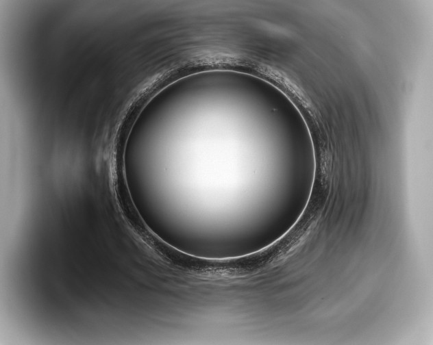 X0000099950629200805231322