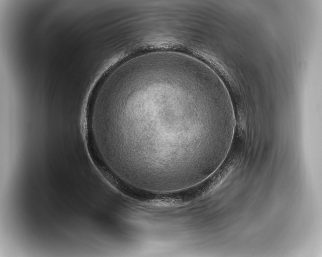 X0000099950630200805231322