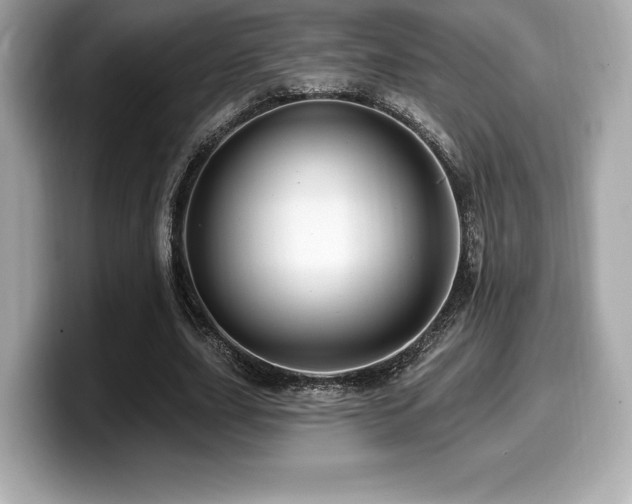 X0000099950631200805231322