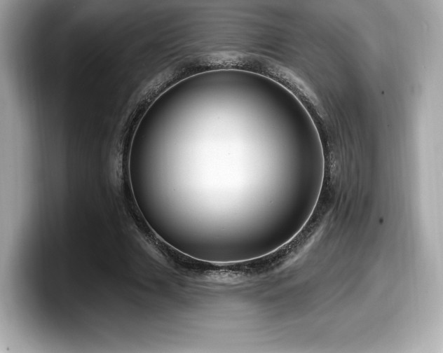 X0000099950633200805231322