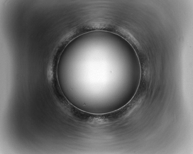 X0000099950635200805231322