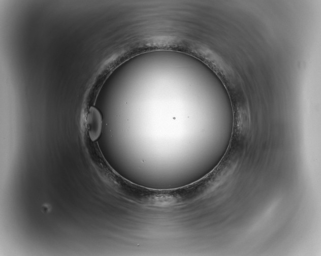 X0000099950636200805231322