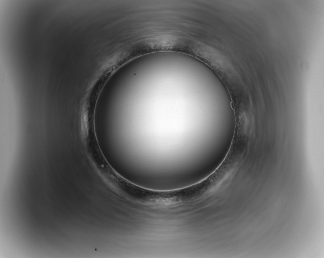 X0000099950638200805231322
