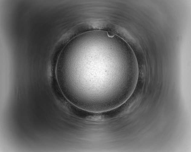 X0000099950639200805231322