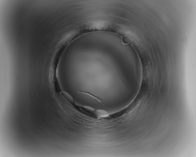 X0000099950640200805231322