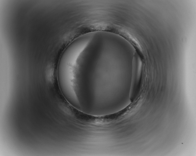 X0000099950641200805231322