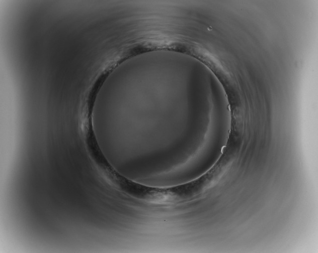 X0000099950642200805231322