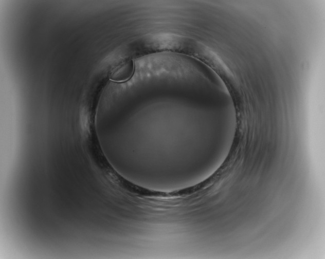 X0000099950643200805231322