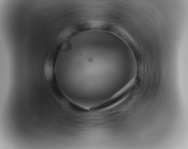 X0000099950644200805231322