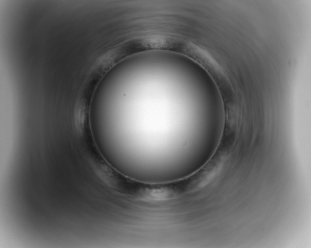 X0000099950645200805231322