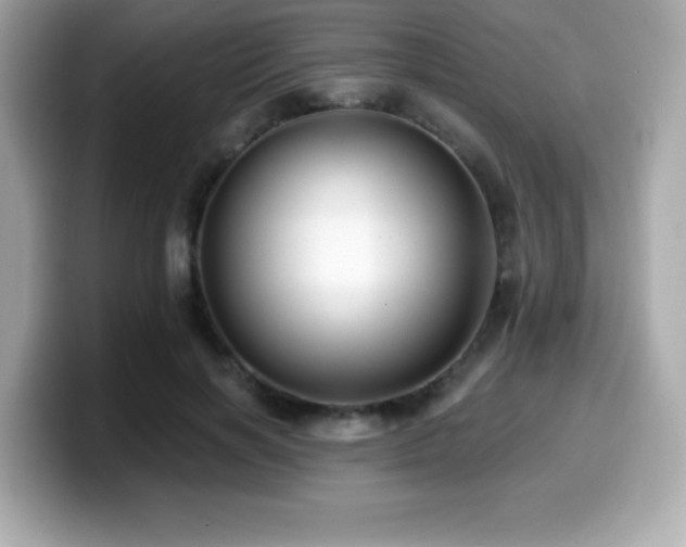 X0000099950646200805231322