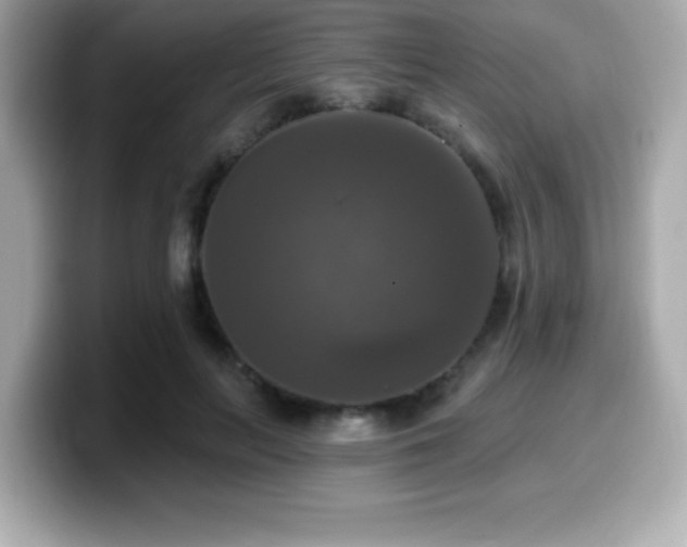 X0000099950647200805231322