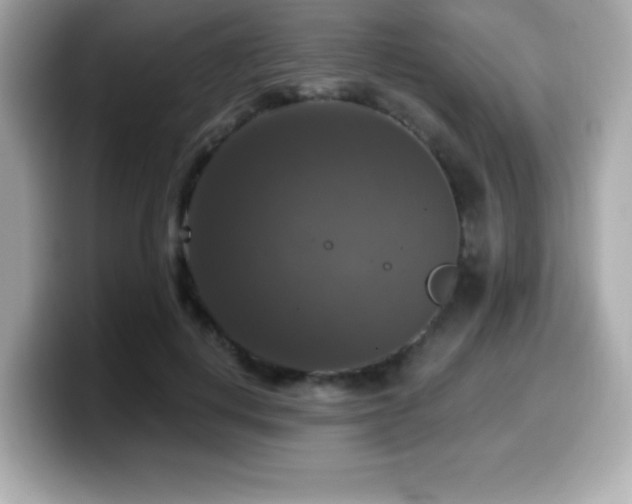 X0000099950648200805231322
